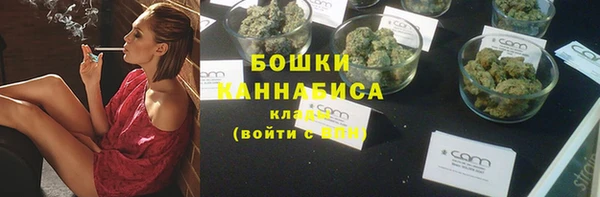 мдпв Пестово