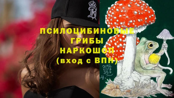ешки Абинск