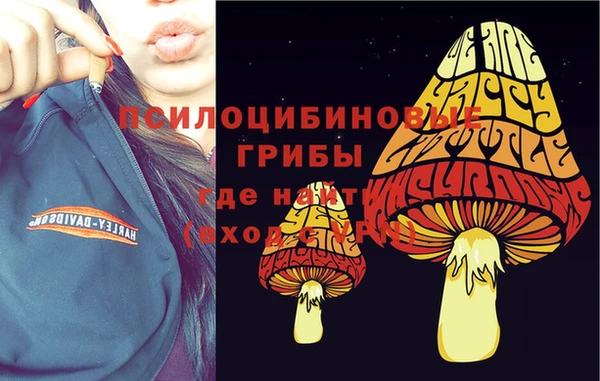 мяу мяу мука Абаза