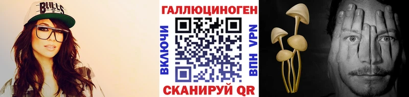 мориарти какой сайт  Новоаннинский  Псилоцибиновые грибы Psilocybe  как найти закладки 